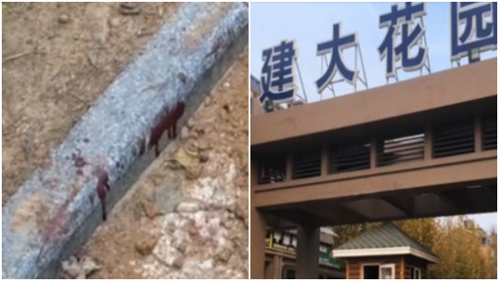 大学生捅死陪读母亲 行凶时母亲没有呼救