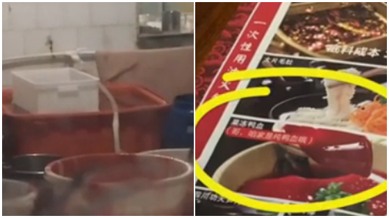 包贝尔火锅店：空运鸭血里一滴鸭血都没有