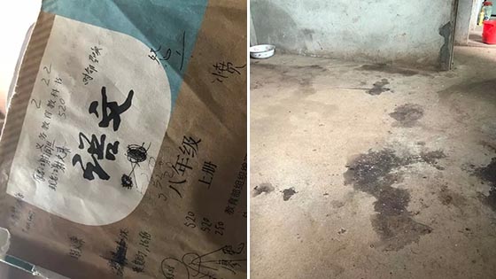 “13岁少年涉锤杀双亲”背后：曾写作文虚构“故乡”