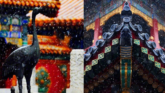 故宫雪景有多美？单霁翔：不下雪我们都急了