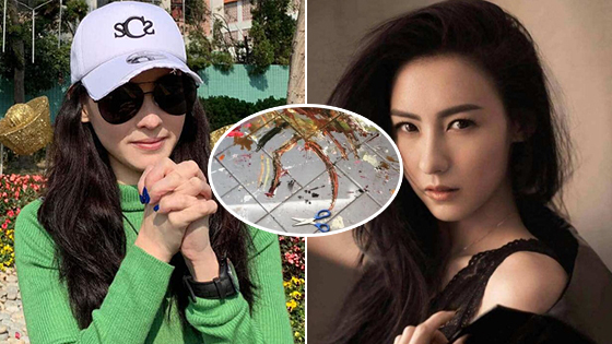 吐苦水？张柏芝深夜发文 现场凌乱