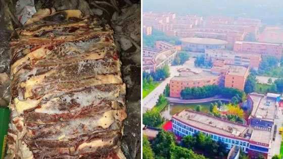 学校给学生吃过期发霉食物 曾被评为“省级示范食堂”