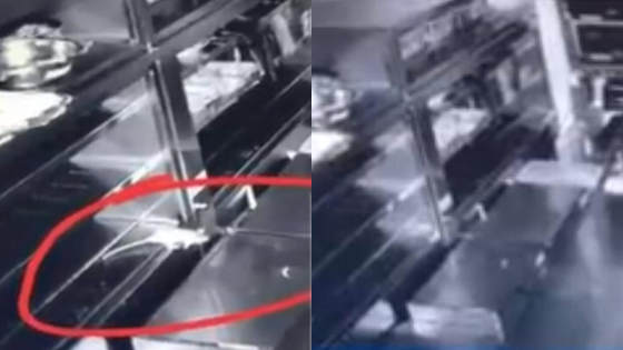 “外婆家”上海店后厨惊现活蹦乱跳的老鼠