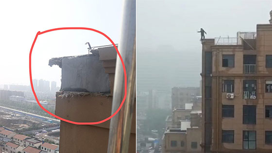 河南一复读生“踩碎”楼顶坠亡 当地住建部门调查