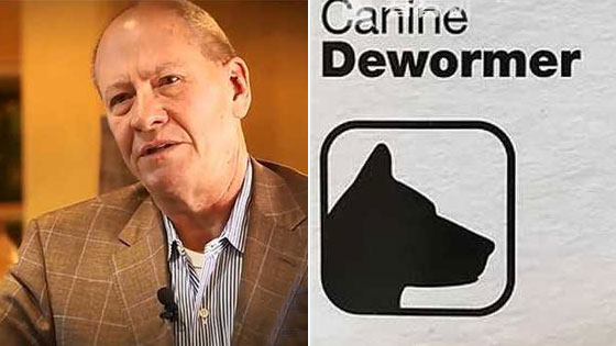 奇迹！男子服用狗药治好癌症晚期 一周只花5美元