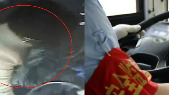 女乘客拉拽公交车方向盘 落户上海资格被取消