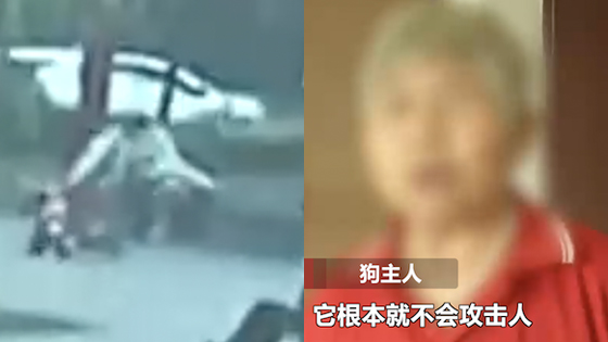 1岁女童小区内遭狗扑咬 主人:我家狗不攻击人