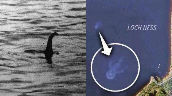 最新科学研究：尼斯湖水怪可能真的存在