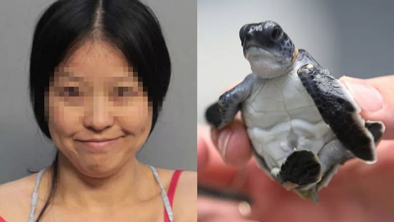 中国女子海滩踩海龟蛋被控重罪！微笑入狱照惹众怒