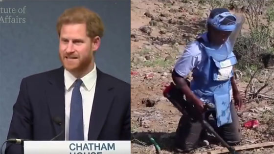 追随戴安娜，哈里王子捐四亿为排雷