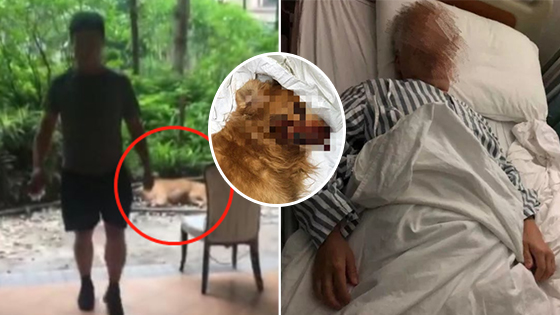 男子用千斤顶打死金毛 威胁主人不然你跟狗一起死