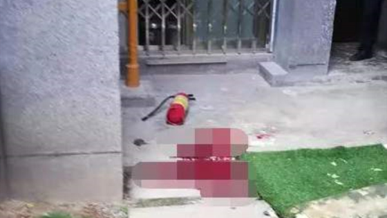 女子被高空抛物砸中身亡 抛物者为10岁男孩