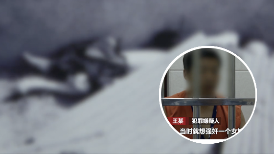 18岁少女深夜被侵犯后遭杀害 DNA比对揪出真凶