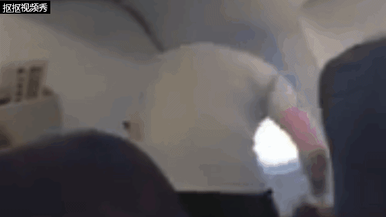 著名主持人飞机上行为不雅 视频曝光被网友大骂