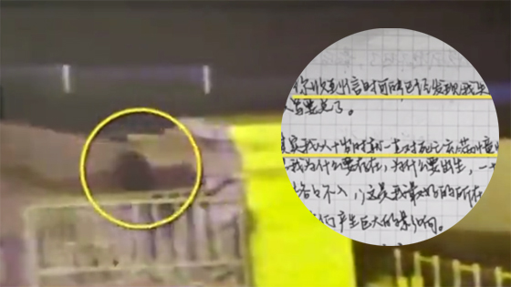 涠洲岛19岁失联女孩遗书曝光：称时间很赶