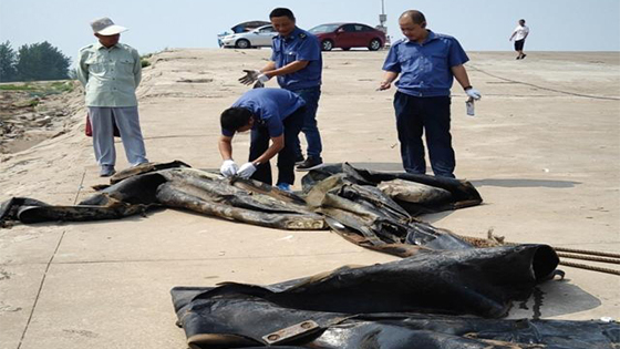 “三峡水怪”被打捞上岸 竟然长这样……