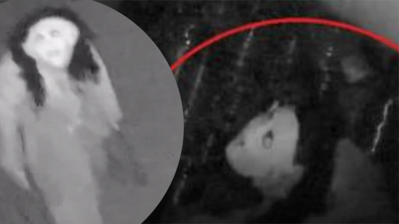 吓人！凌晨工厂监控拍到“女鬼”？