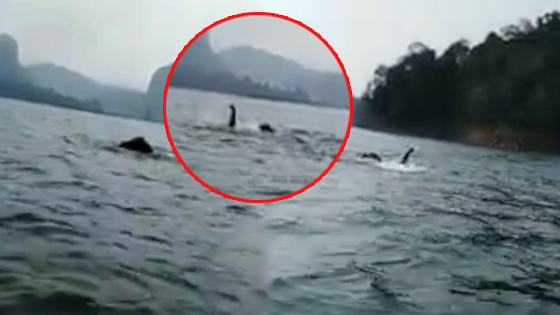 男子钓鱼见河中水怪 凑近一看差点笑出声