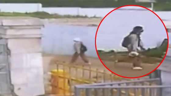 涠洲岛失联少女当天早晨监控首曝光 家属：她慢悠悠的