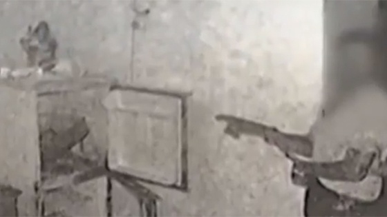 男子杀死情人将碎尸冰箱 从事牛羊分割工作