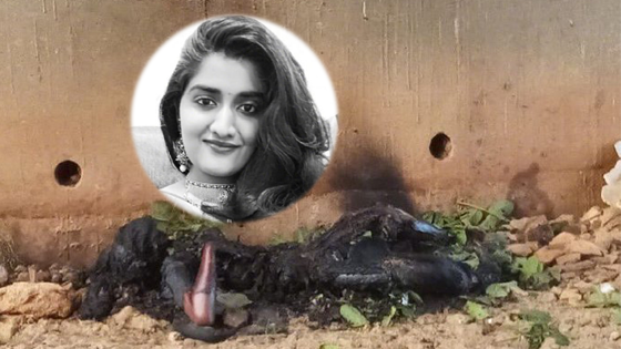 印度26岁女兽医遭人奸杀焚烧：多地民众要求嫌犯死刑