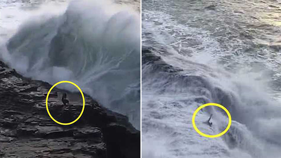 游客冒险攀上海边悬崖 下一秒遭巨浪拍翻冲下海