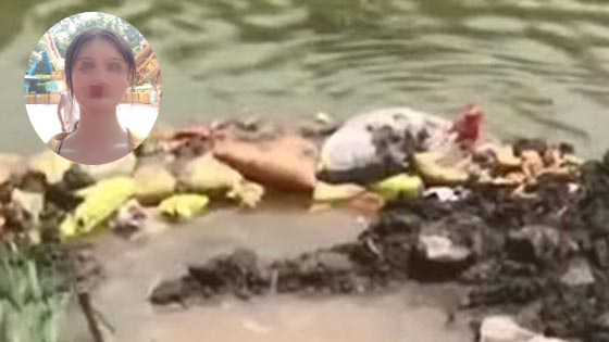 失踪岳阳女大学生遇害 案发当天部分监控缺失