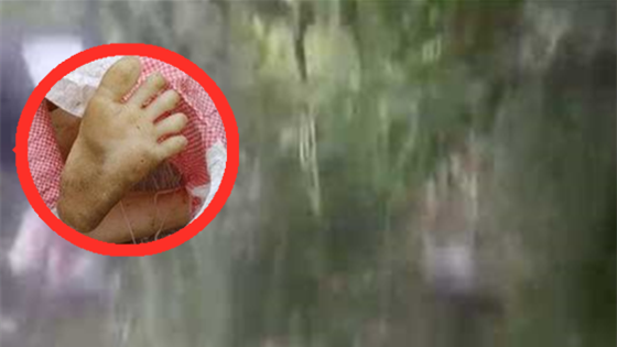 山崖野岭惊现编织袋，露出一只“脚”？