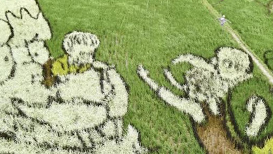 京都动画纵火案一周年：遇害画师绘本出版