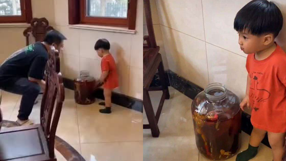 用奥特曼和恐龙泡的药酒喝了有没有神奇的功效