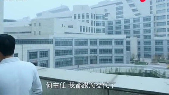 知道论文抄袭的主任已经去世 小伙却主动坦白