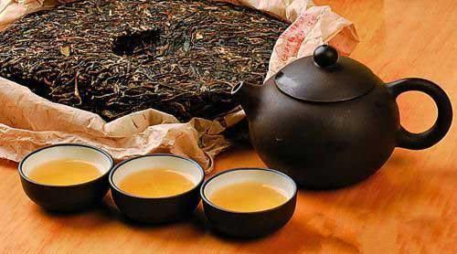 普洱茶知识大集合