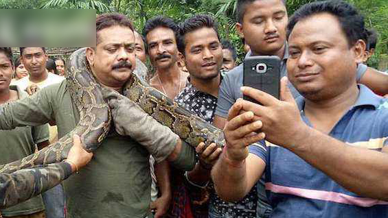 男子从村民乱棍中救下巨蟒 差点被蛇绞死
