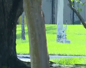 CNN直播中警报响了！美国多位政客收爆炸装置