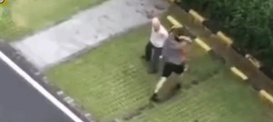 金毛咬死贵宾犬被打死 双方狗主人最新回应