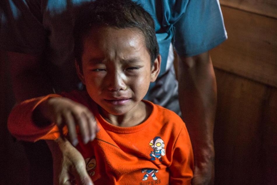 一篇课文招致5岁孩子嚎啕大哭 妈妈离家4年他仅与狗狗玩耍