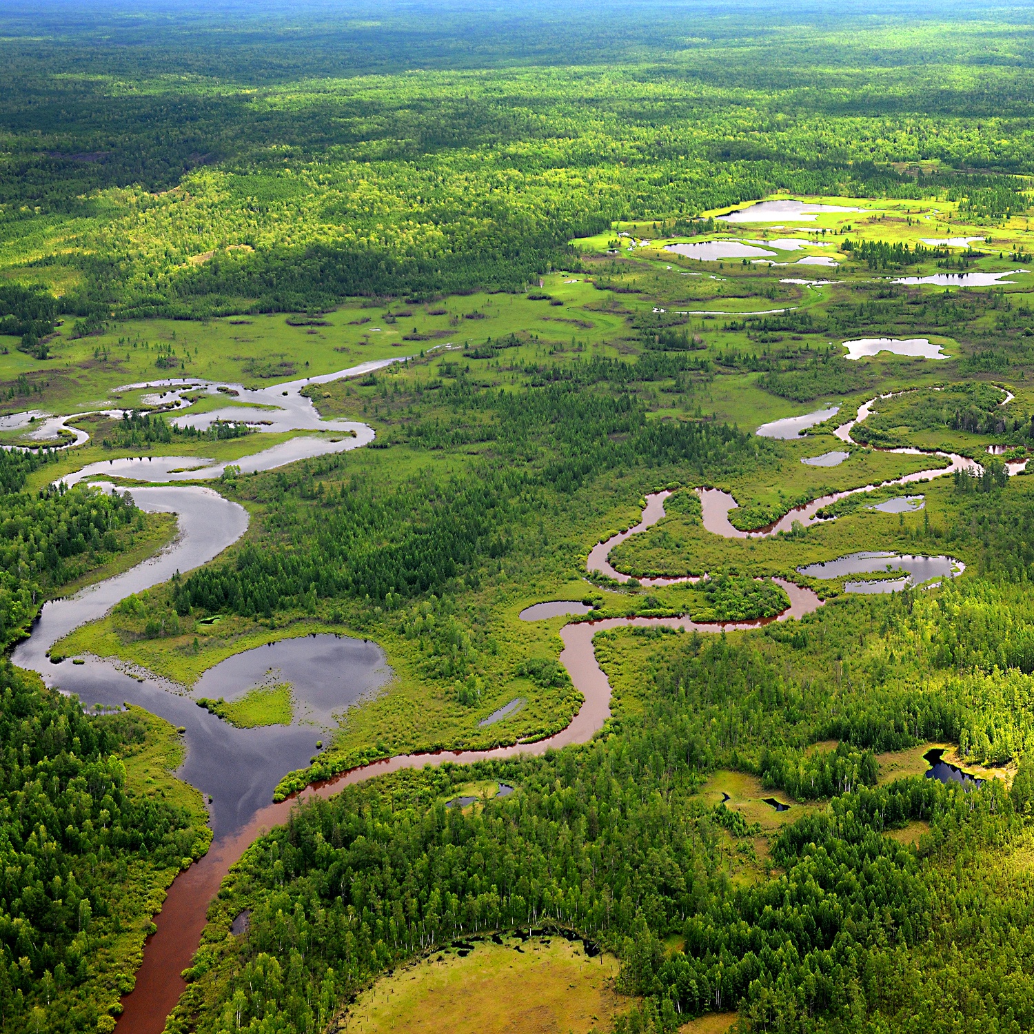大沾河湿地国家级自然保护区