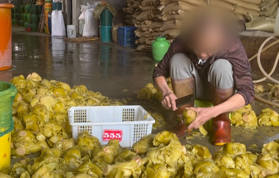 汕头腌制厂工人用脚踩菜，甚至边抽烟边切酸菜