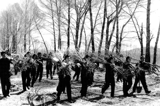 20世纪六七十年代，右玉县群众在荒山植树（翻拍照片）。新华社发