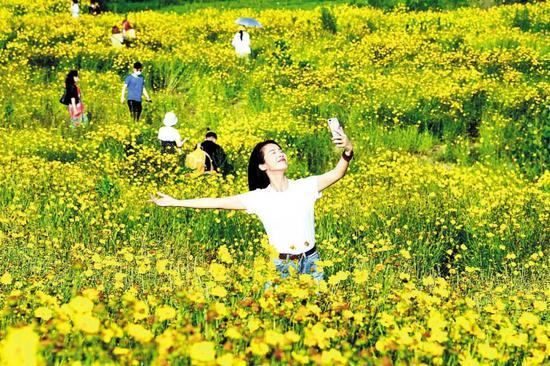 2020年6月7日，一名來自漢口的市民在光谷花海里手舞足蹈，如癡如醉。（湖北日報全媒記者 陳勇 攝）