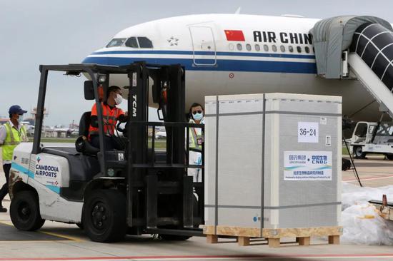 ▲6月12日，工作人员在柬埔寨金边机场转移运抵的中国疫苗。（MSN网站）