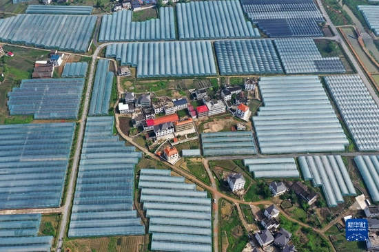 这是位于江西省赣州市于都县梓山镇潭头村的果蔬种植基地（4月29日摄，无人机照片）。新华社记者 万象 摄