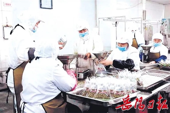 ·插旗菜业的生产车间。图片来源：岳阳日报