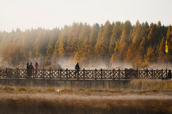 2020年9月27日拍摄的塞罕坝国家森林公园，层林尽染，美景如画。新华社发（刘满仓 摄）