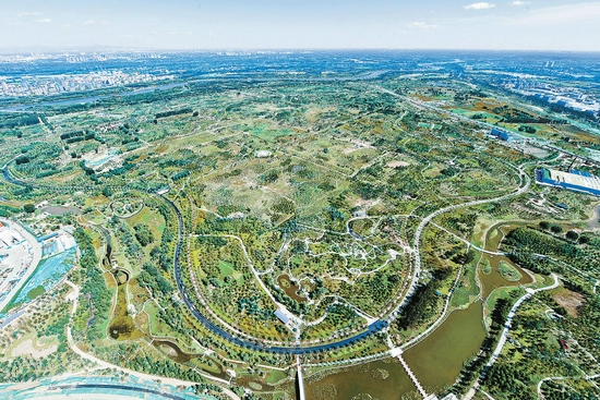 城市副中心先建绿，后造城。图为总面积达11.2平方公里的城市绿心森林公园。 通州区供图