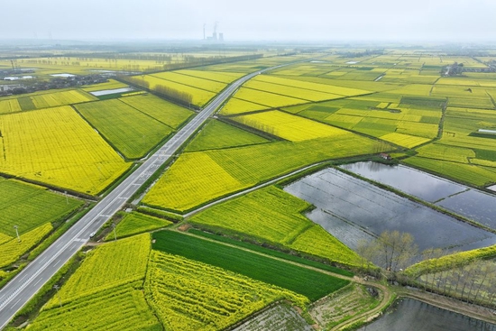 湖北省江陵县熊河镇跃进村油菜花开的美丽风景。（航拍照片） 江陵县邮政分公司员工樊孝银摄