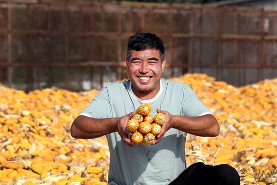 9月22日，在河南焦作博爱县磨头镇崔庄村，“70后”崔卫民展示今年丰收的玉米。新华社发（程全 摄）
