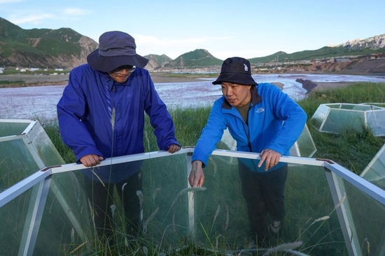 长江科学院博士任斐鹏（右）和孙宝洋在江源布设六边形温箱开展“模拟增温试验”（2021年7月22日摄）。新华社记者 张龙 摄
