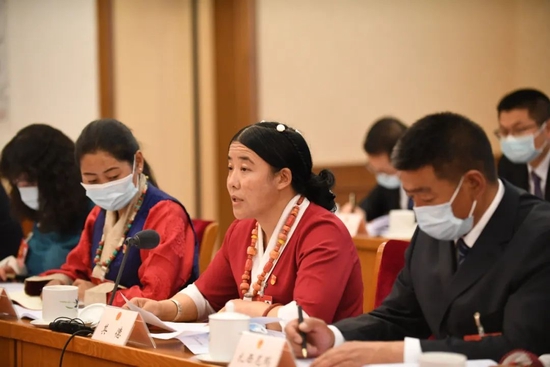 图为来自那曲市巴青县江绵乡坡荣塘村的全国人大代表其德在西藏代表团