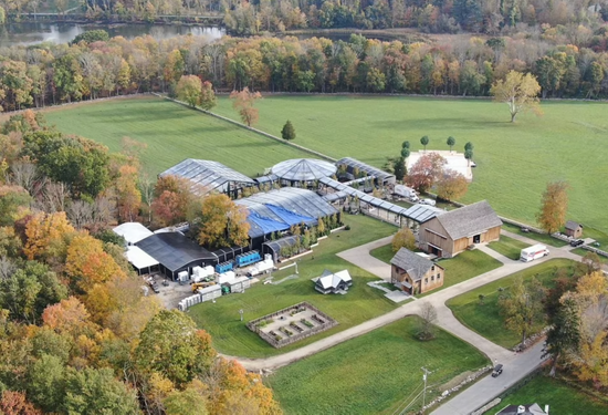 奢傲的读音意思解释近反义词